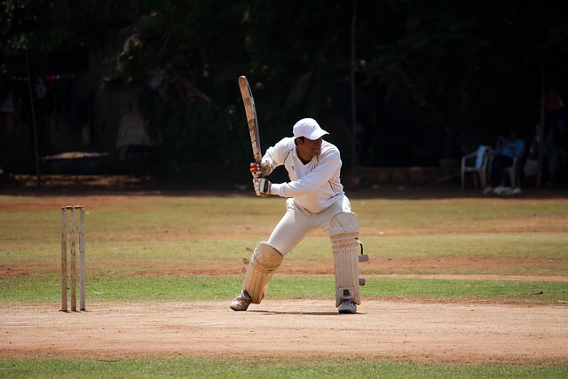 cricket, batsman, sports, stumps, hitting, ground, cricketer, pitch, field, sport of cricket, competitive sport, cricket bat, cricket, cricket, cricket, cricket, cricket