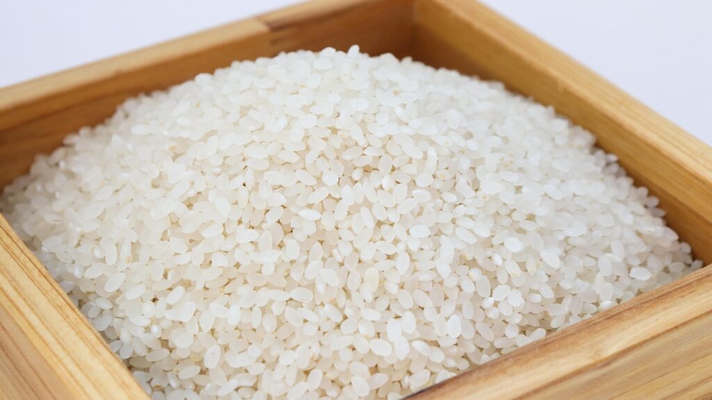 rice, white rice, korea, food, harvesting, crops, ch, dining, south korea, korean food, delicious, cooking, 米, it is 米, riz, riz cru, arroz, reis, rice, rice, rice, rice, rice